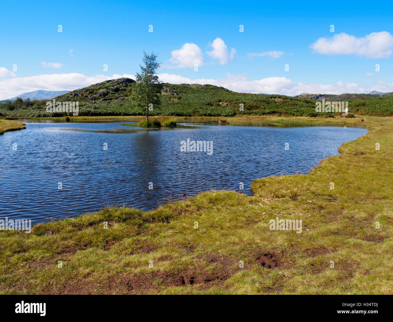 Lily Tarn, Loughrigg Fell, Lake District, Cumbria Stock Photo