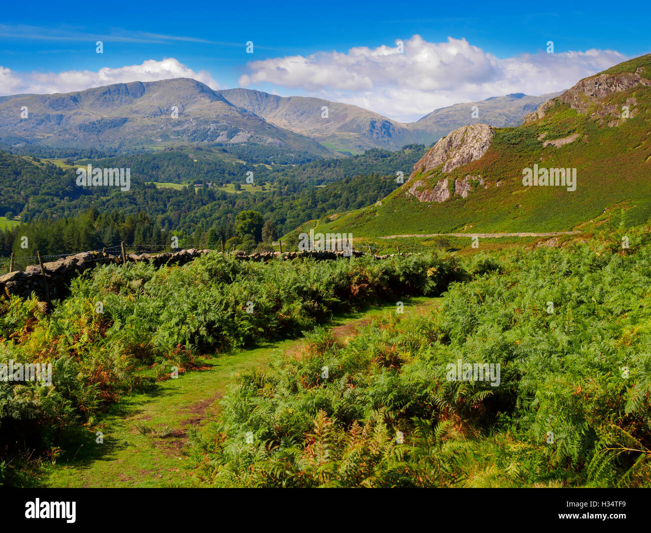 Bracken lake district hires stock photography and images Alamy