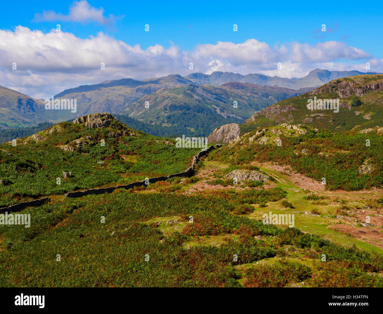 Loughrigg Fell with Great Langdale in the background, Lake District, Cumbria Stock Photo