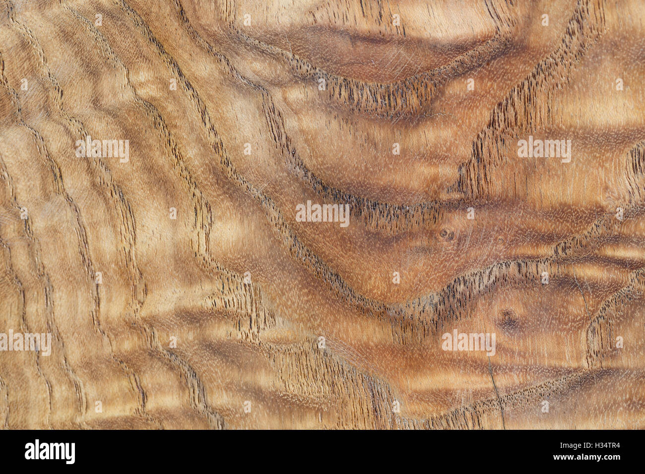 The beauty of the wood texture, precious gold-rimmed nanmu Stock Photo