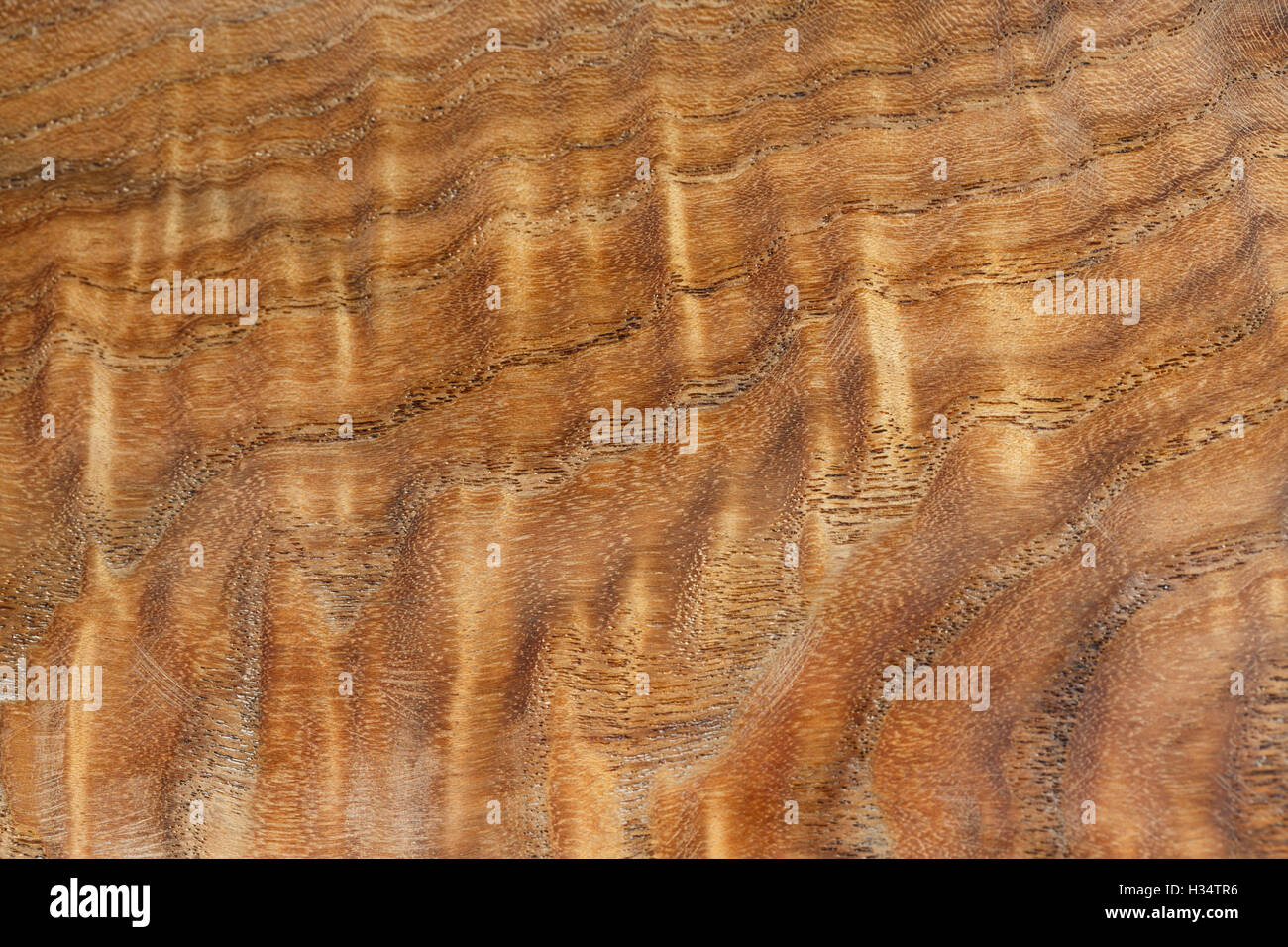The beauty of the wood texture, precious gold-rimmed nanmu Stock Photo