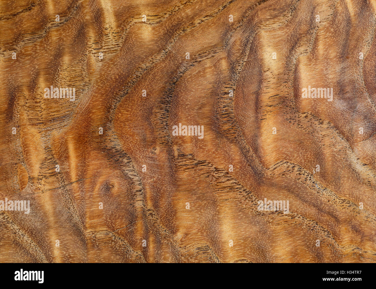 The beauty of the wood texture, precious gold-rimmed nanmu Stock Photo