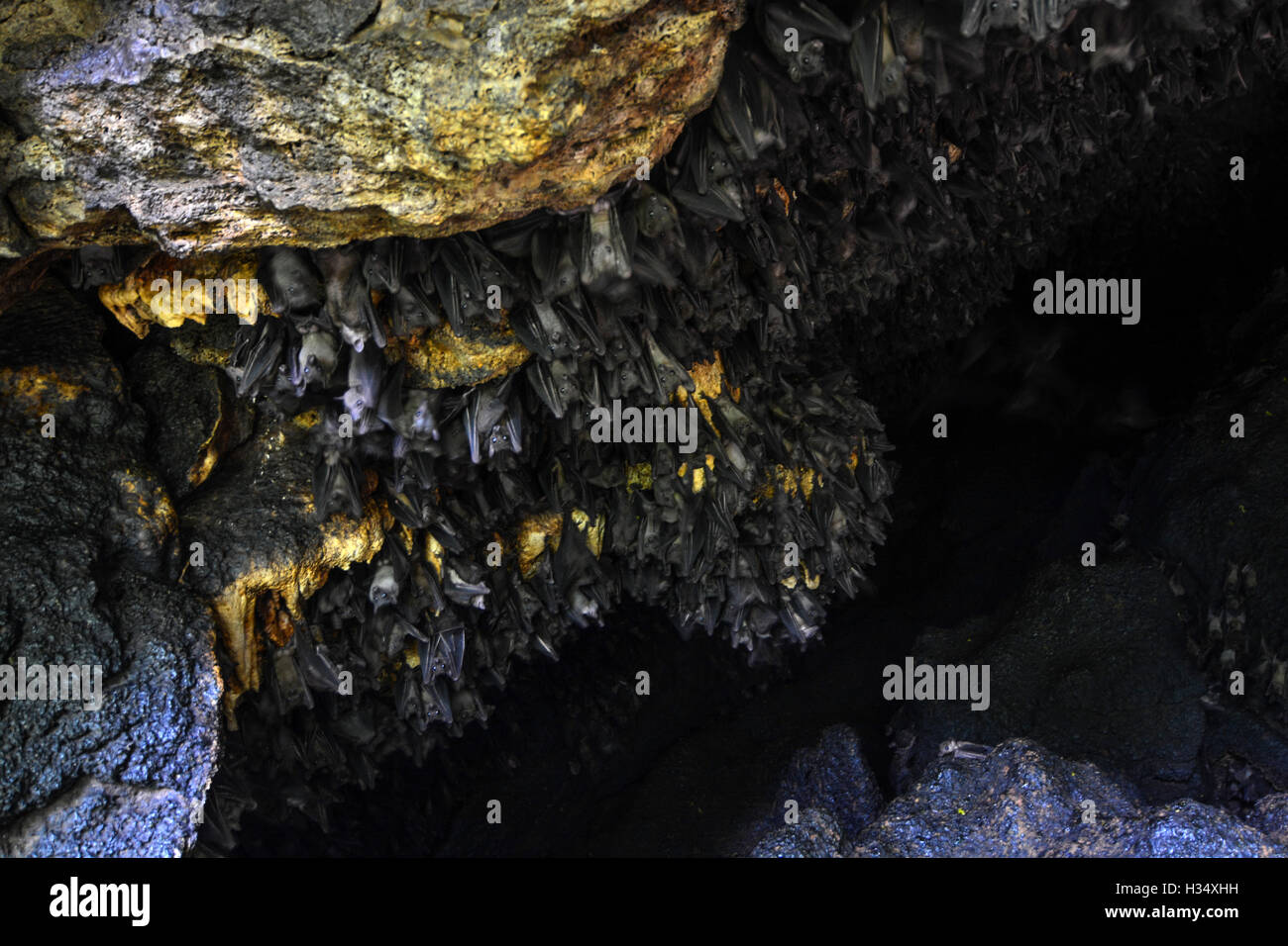 In the bat cave, Queen Elizabeth National Park Stock Photo
