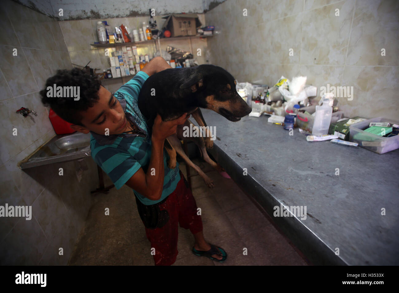 Stray dog boy hi-res stock photography and images - Alamy