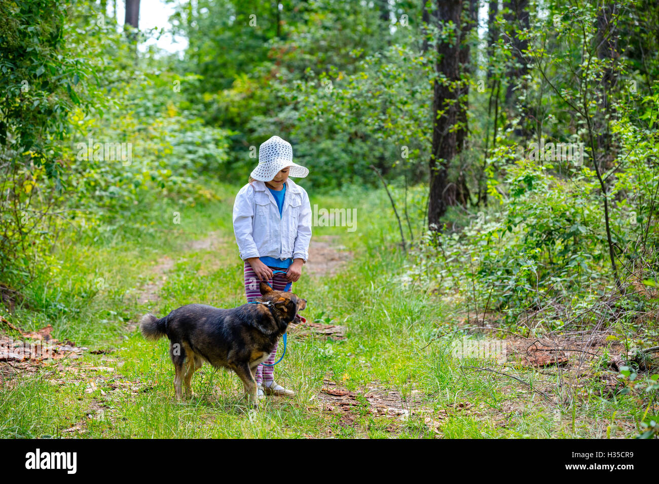Happy little girl playing with dog in the forest Stock Photo - Alamy