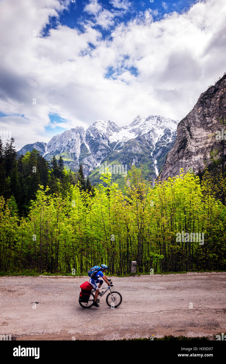 A lone cyclist travels along a mountain road with trees and the Julian Alps in the background, Slovenia, Europe Stock Photo