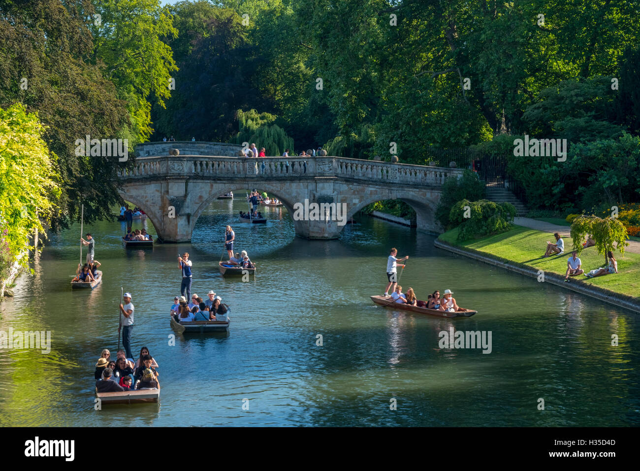 Punting on The Backs, River Cam, Cambridge, Cambridgeshire, England, United Kingdom, Europe Stock Photo