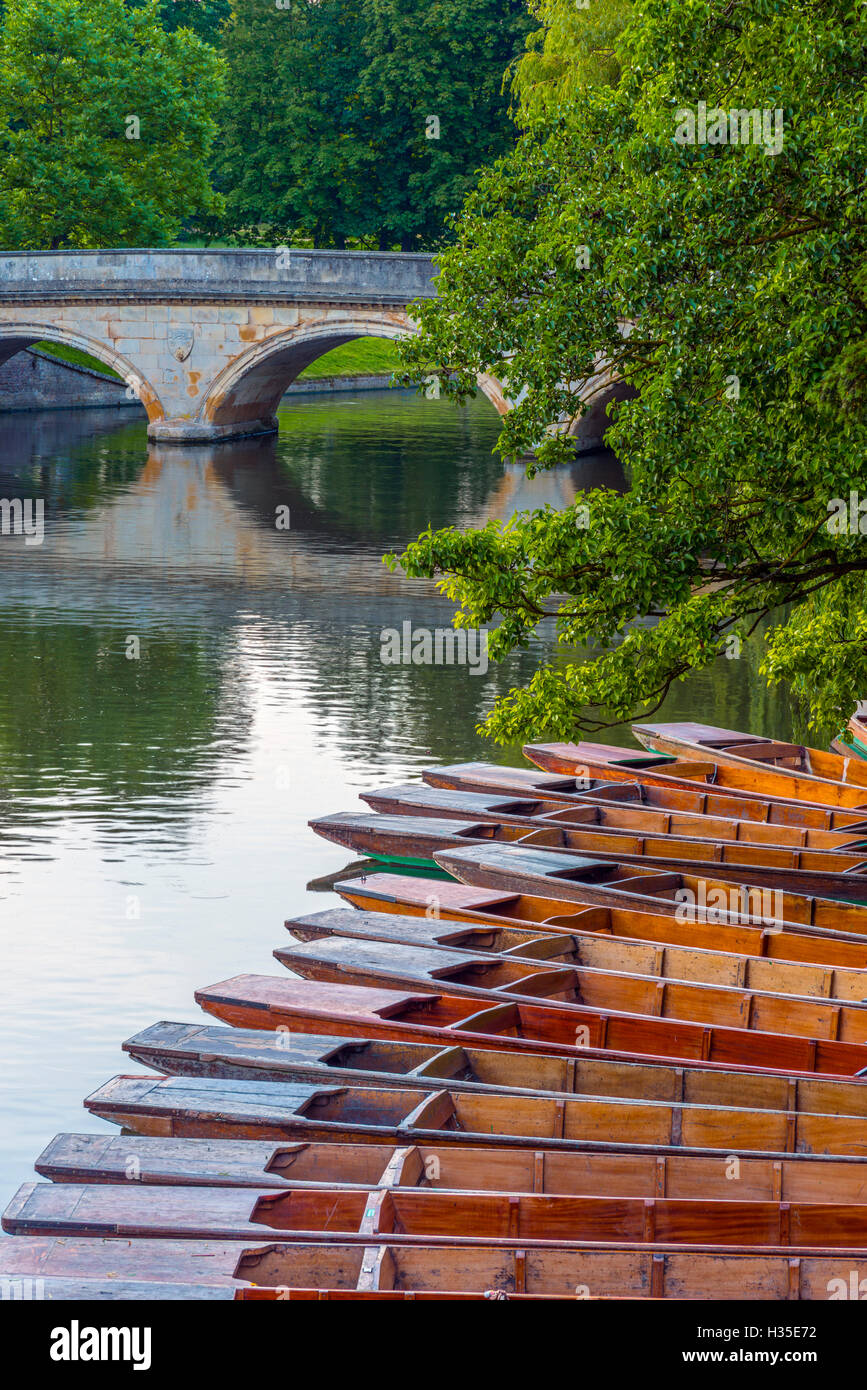 Punts on the River Cam, The Backs, Cambridge, Cambridgeshire, England, UK Stock Photo