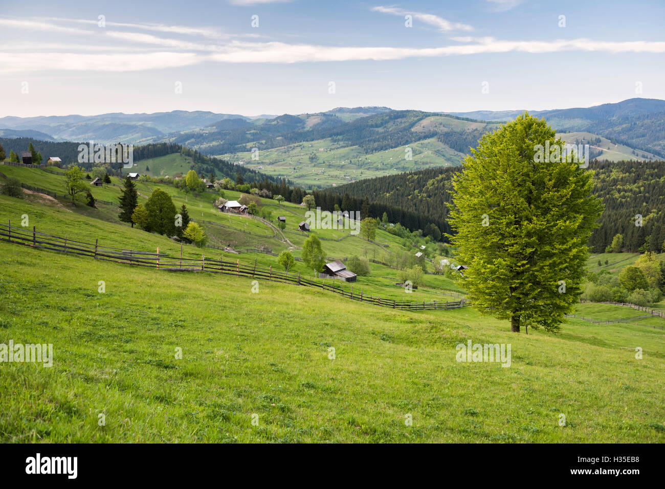 Bukovina hi-res stock photography and images - Alamy