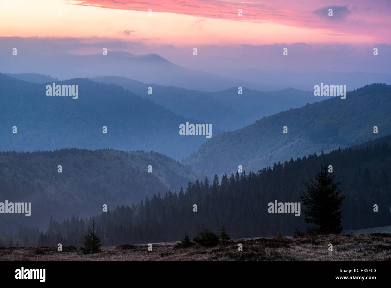 Carpathian Mountains landscape during a misty sunrise, Ranca, Oltenia Region, Romania Stock Photo