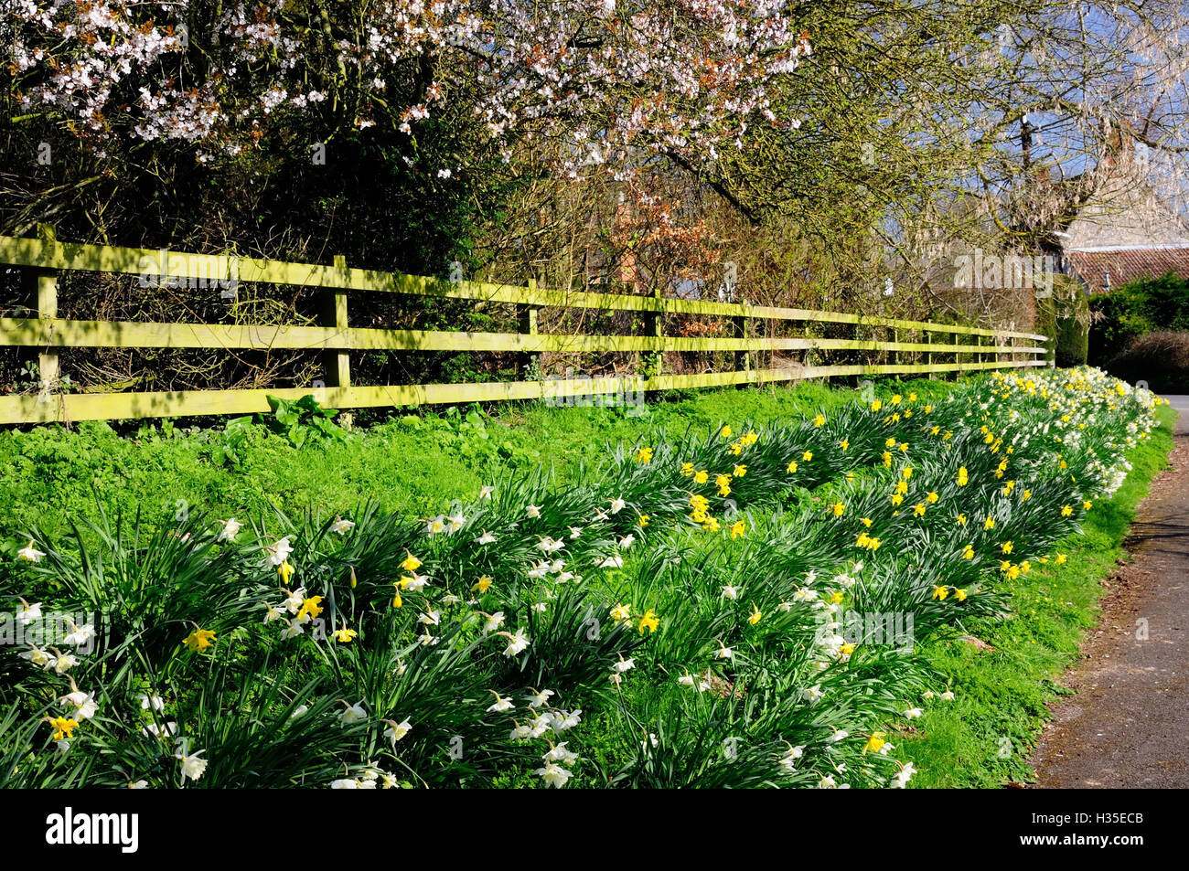 Stapleford wiltshire hires stock photography and images Alamy