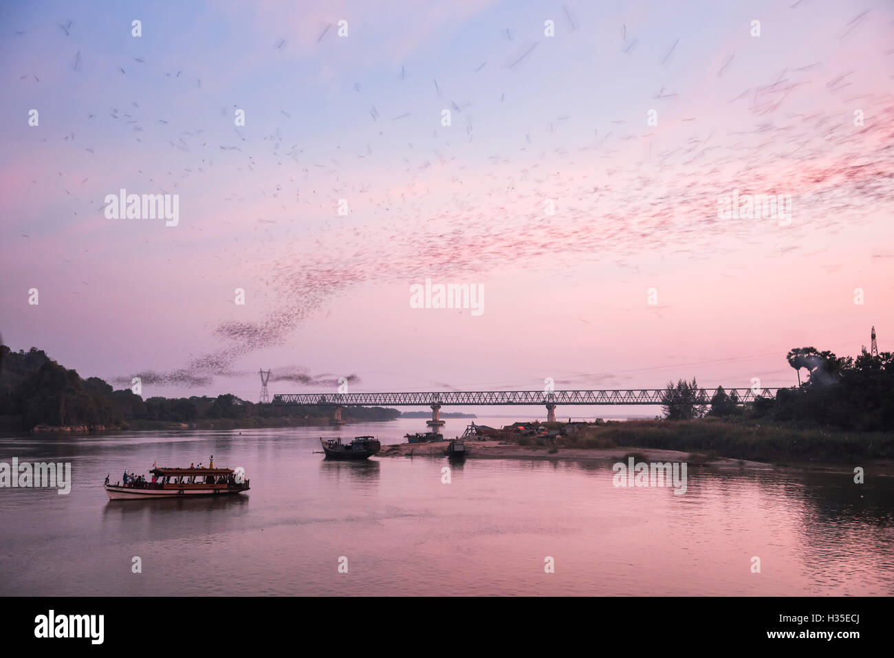 Bats swarming out of the Bat Cave at sunset, Hpa An, Kayin State (Karen State), Myanmar (Burma) Stock Photo