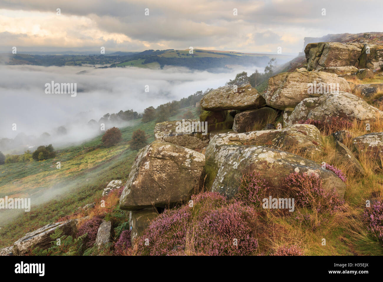 Early morning fog, partial temperature inversion, Curbar Edge, Peak District National Park, summer heather, Derbyshire, UK Stock Photo