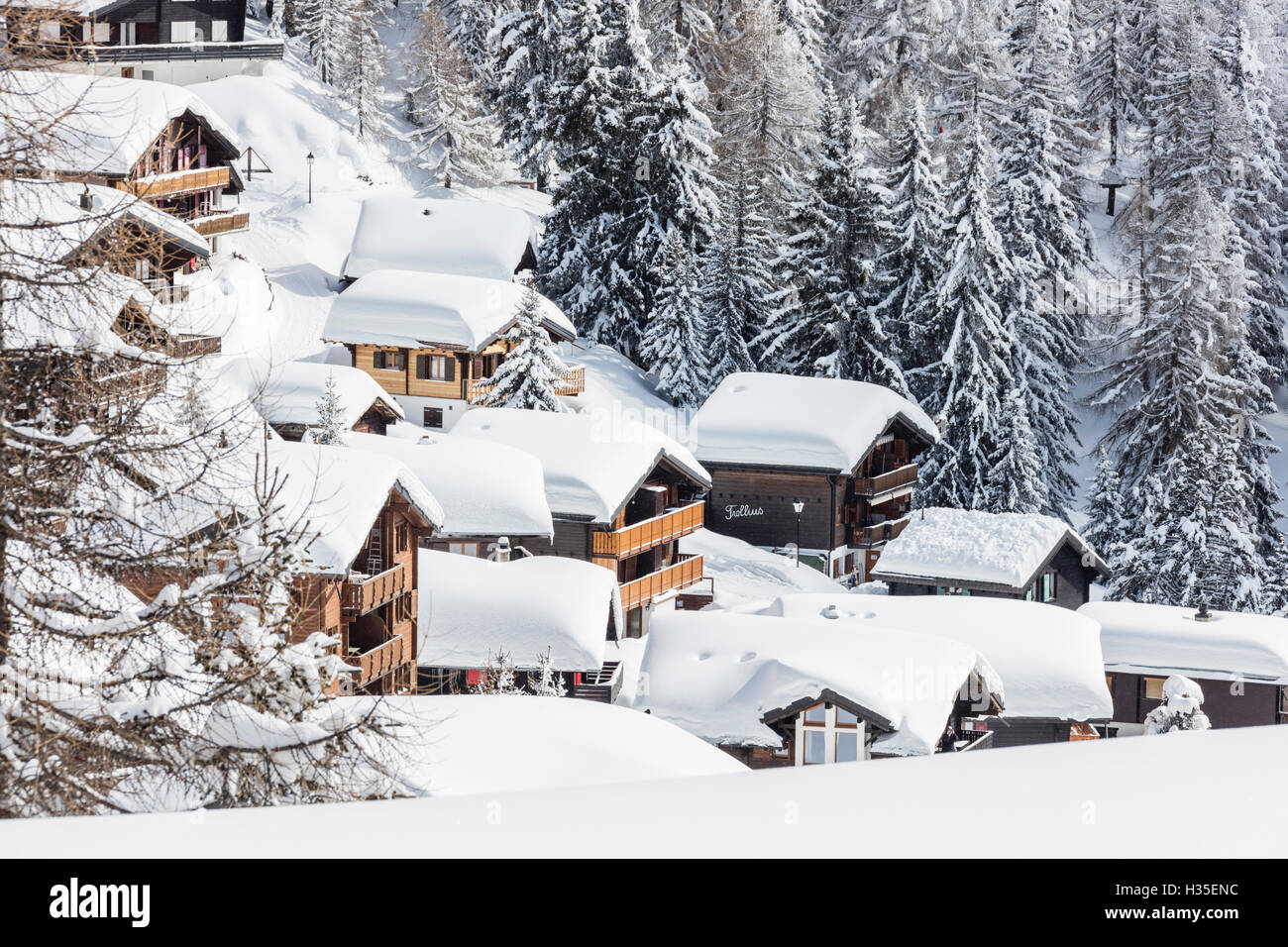 The snowy woods frame the typical mountain huts, Bettmeralp, district of Raron, canton of Valais, Switzerland Stock Photo
