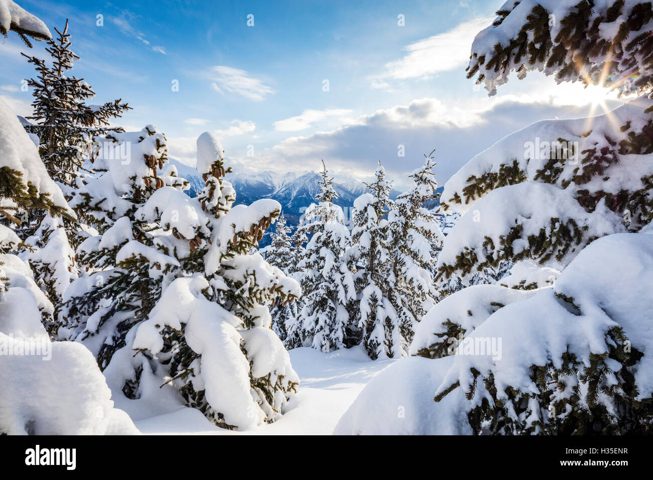 Sunbeam in the snowy woods framed by the winter sunset, Bettmeralp, district of Raron, canton of Valais, Switzerland Stock Photo