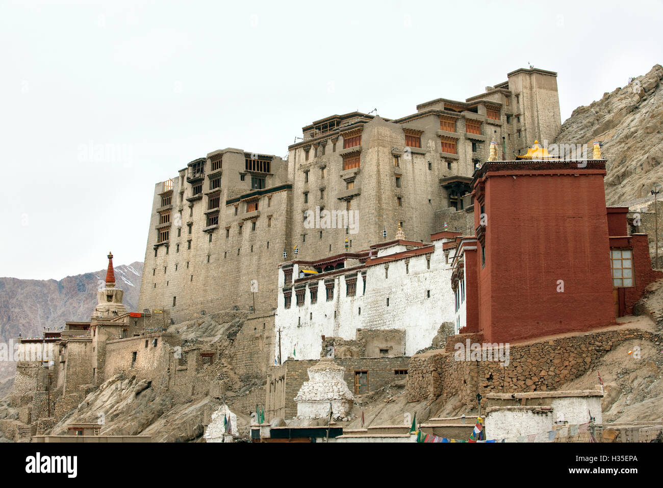 Palace in Leh with LAMO house below. Ladakh, India Stock Photo