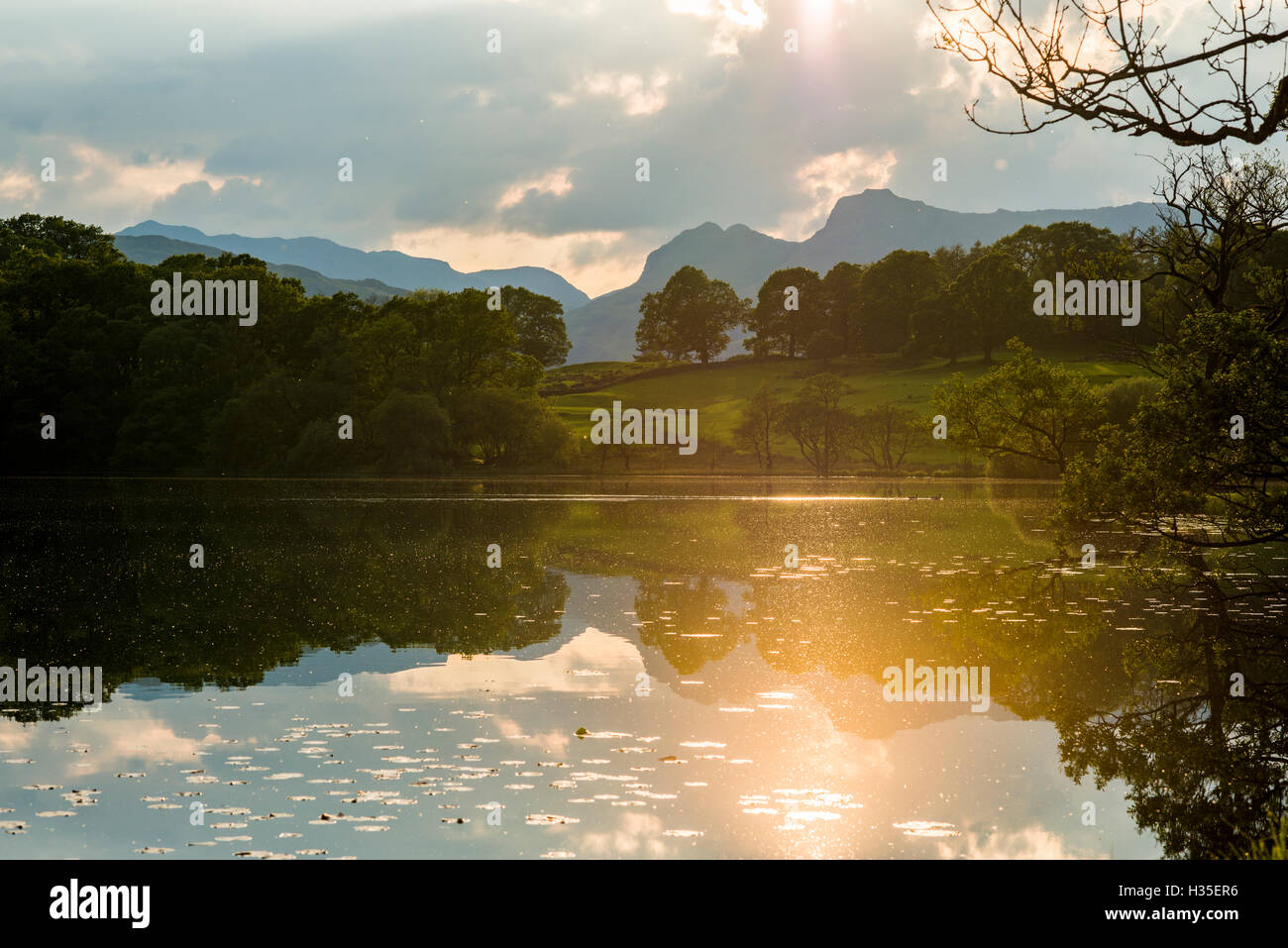 Sunset at Loughrigg Tarn near Ambleside in The Lake District National Park, Cumbria, England, UK Stock Photo