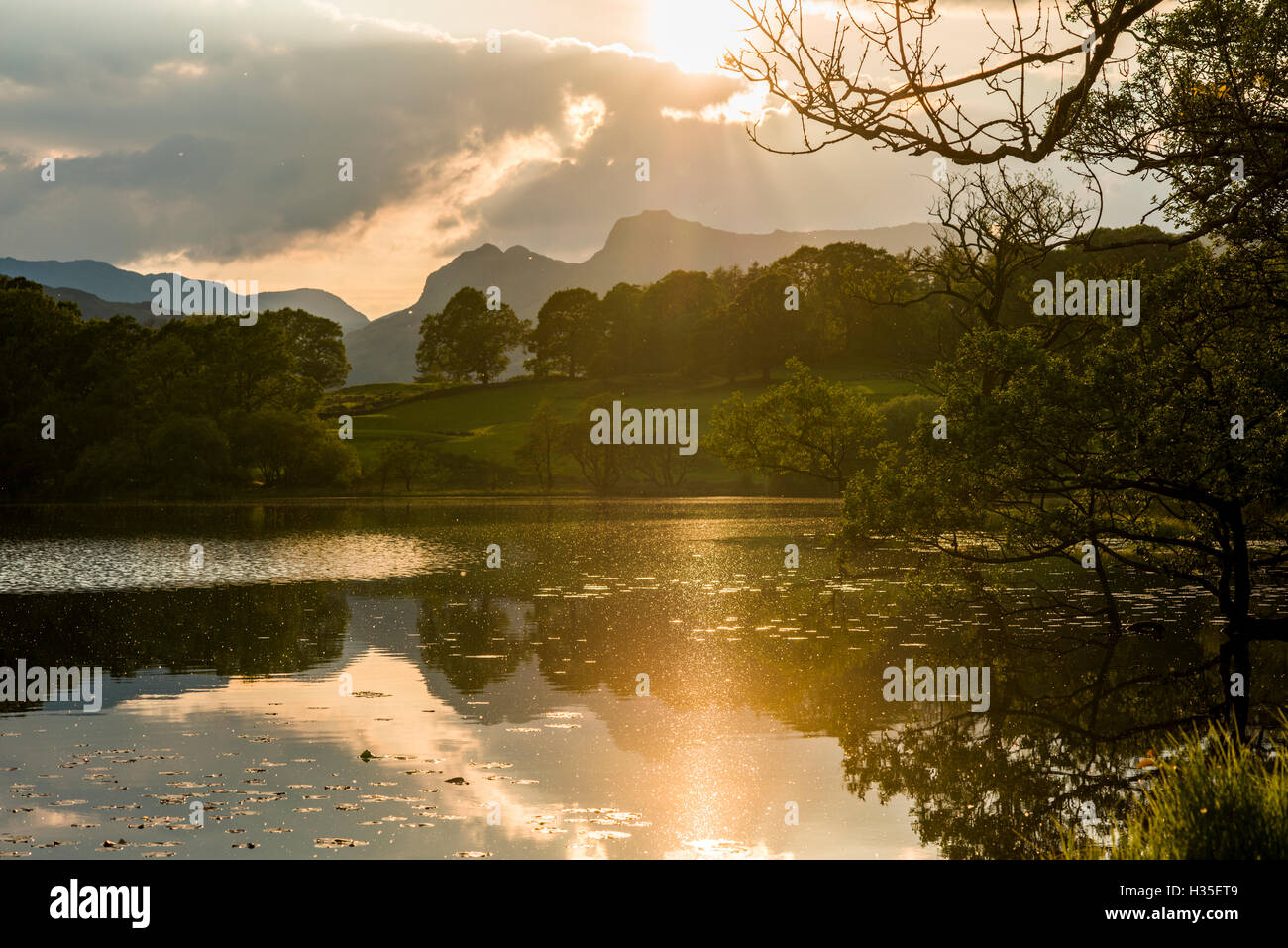 Sunset at Loughrigg Tarn near Ambleside, Lake District National Park, Cumbria, England, UK Stock Photo