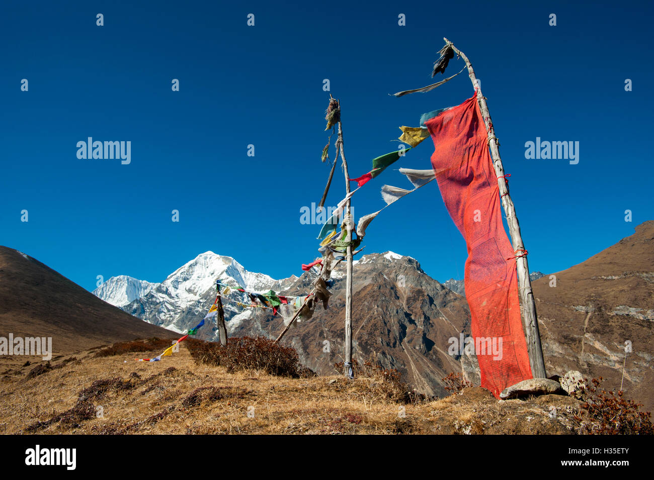 Prayers flags on the Lasa-Gasa trekking route, Thimpu District, Bhutan Stock Photo
