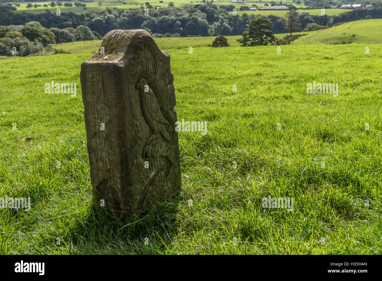Stone carved waymark on The Wyre Way at Abbeystead Stock Photo