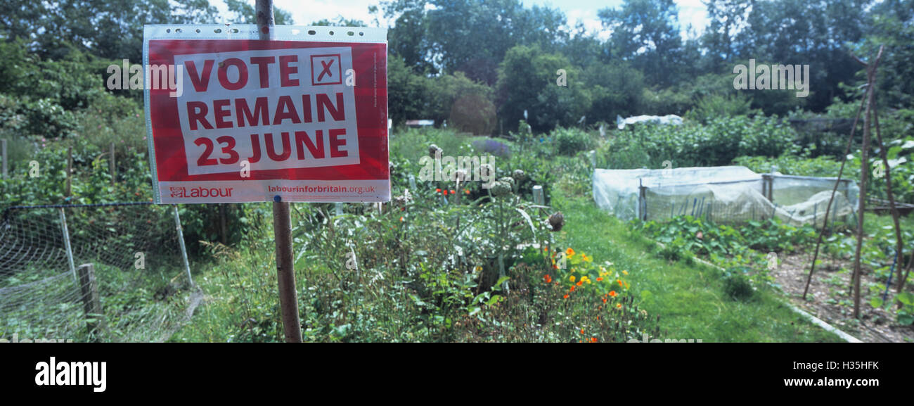 Vote remain 23 June trumpington allotment Stock Photo
