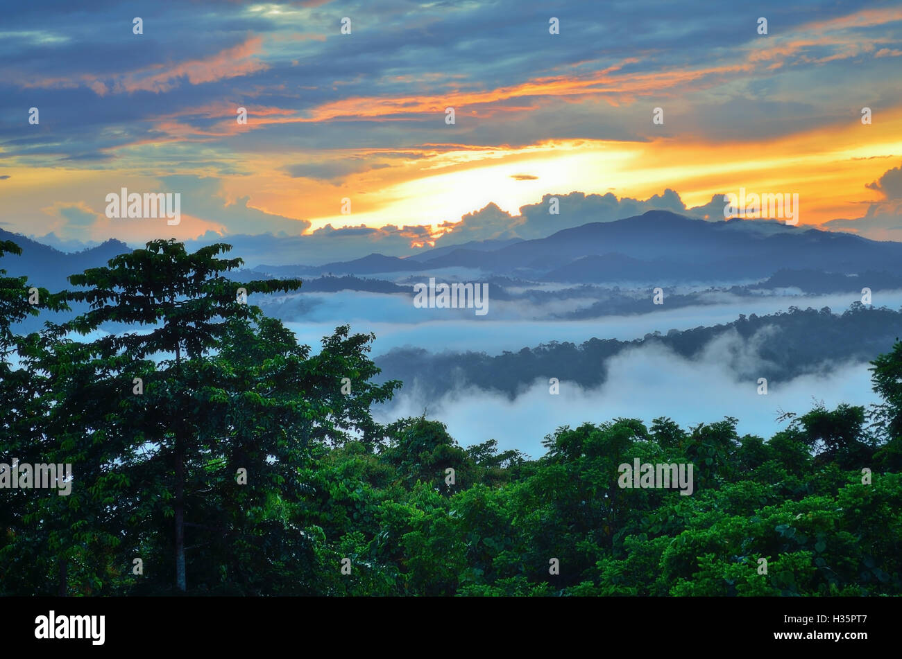 Beautiful sunrise ove rainforest in Danum Valley Conservation Park in Sabah Borneo, Malaysia. Stock Photo