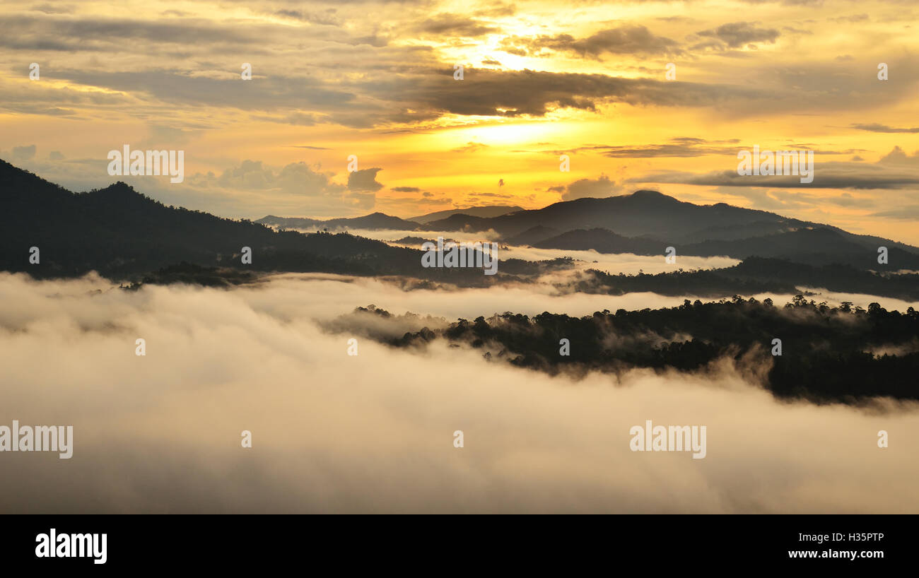 Sunrise over dipterocarp rain forest in Danum Valley Conservation Area in Lahad Datu, Sabah Borneo, Malaysia. Stock Photo