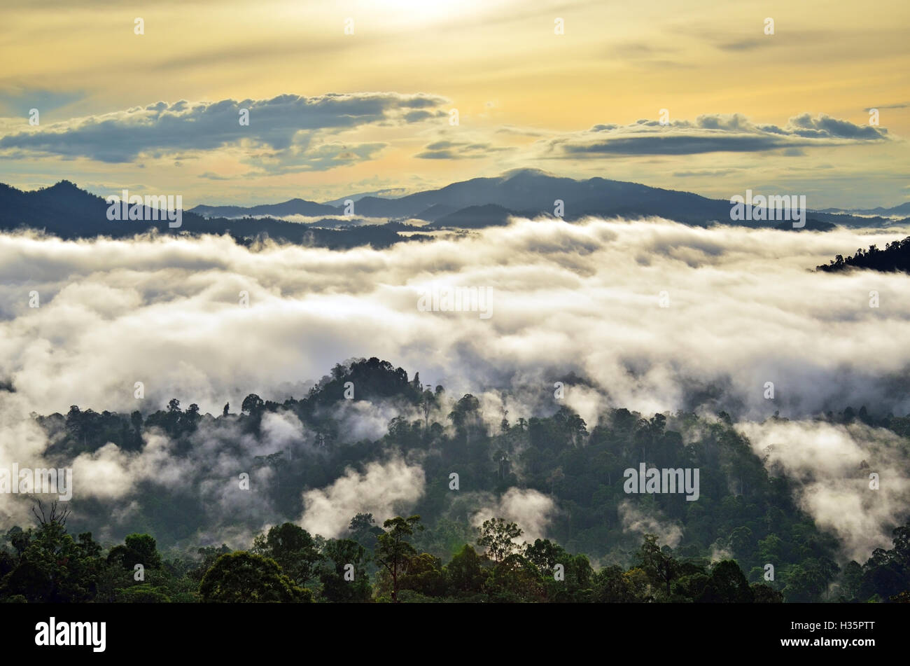 Sunrise with fogs and mist over rain forest in Danum Valley Conservation Area in Lahad Datu, Sabah Borneo, Malaysia. Stock Photo