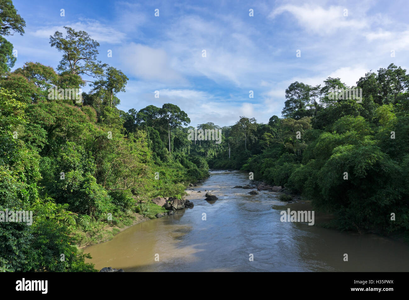 Segama river flanked by the undisturbed lowland dipterocarp forest in Danum Valley Conservation Area Sabah Borneo, Malaysia. Dan Stock Photo