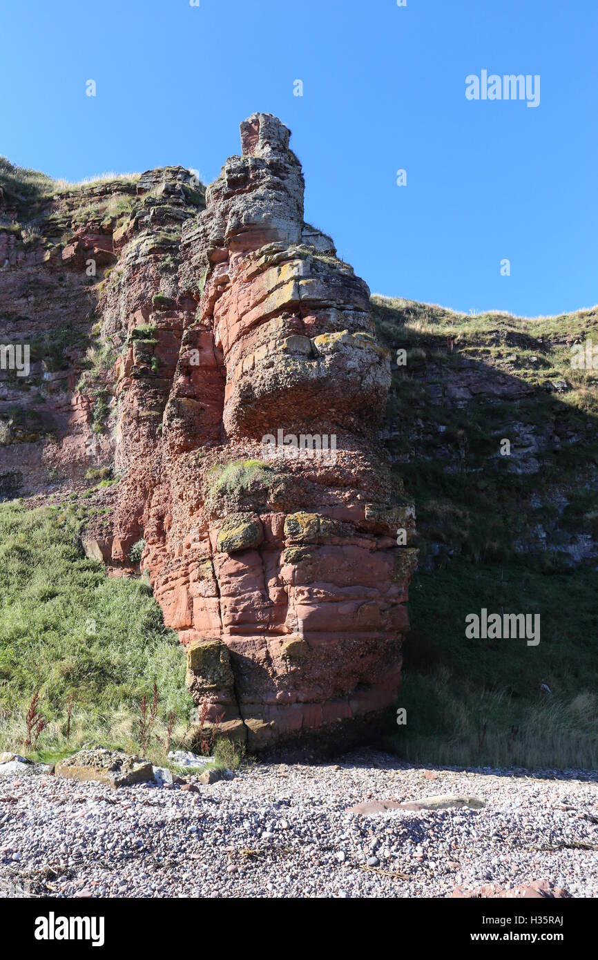 The Spindle rock formation Auchmithie Angus Scotland October 2016 Stock