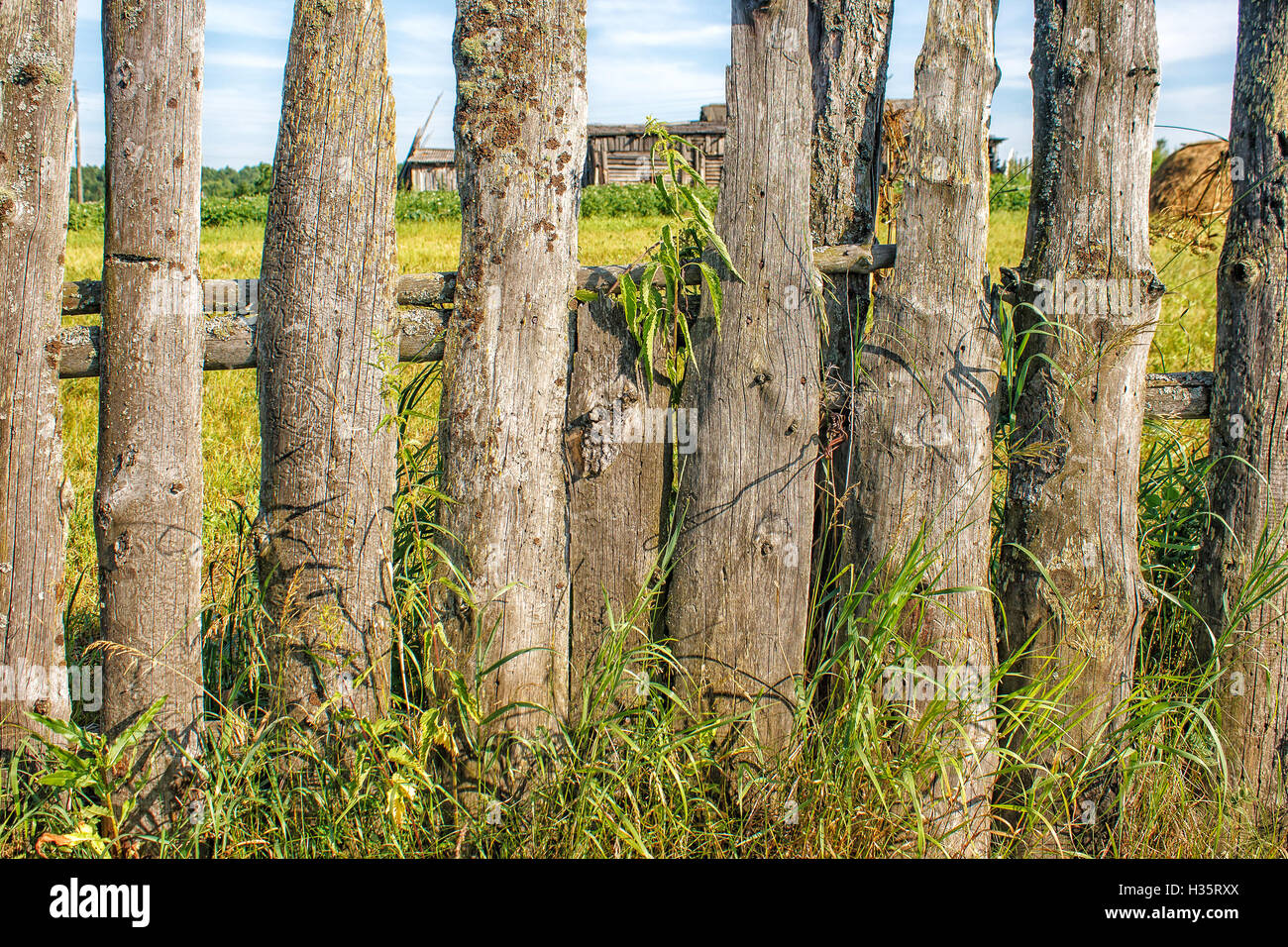 old wooden fence outdoor on summer day closeup Stock Photo - Alamy