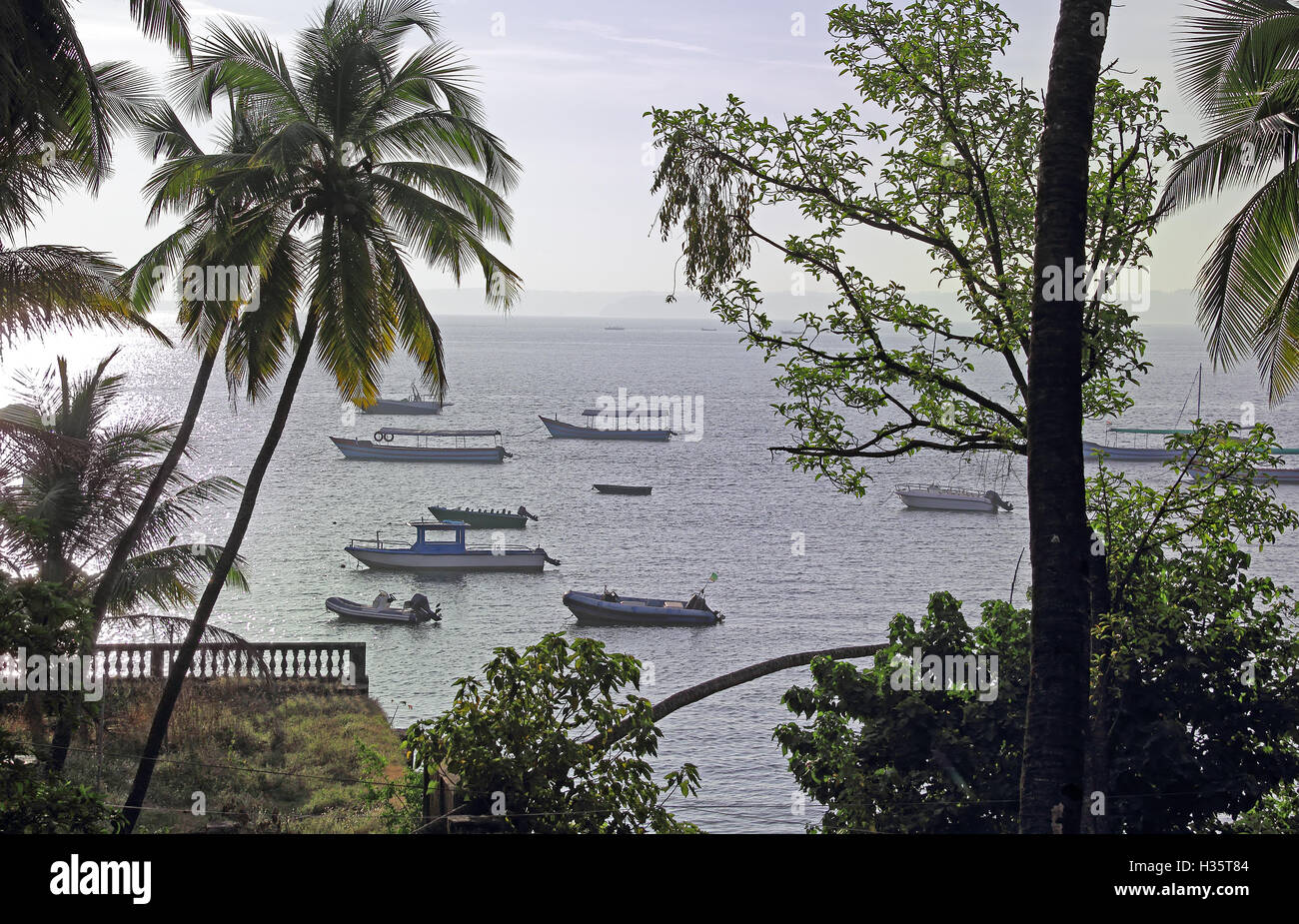 Tranquil morning scene of fishing, tourist and speed boats anchored at Dona Paula bay in Goa, India. Stock Photo