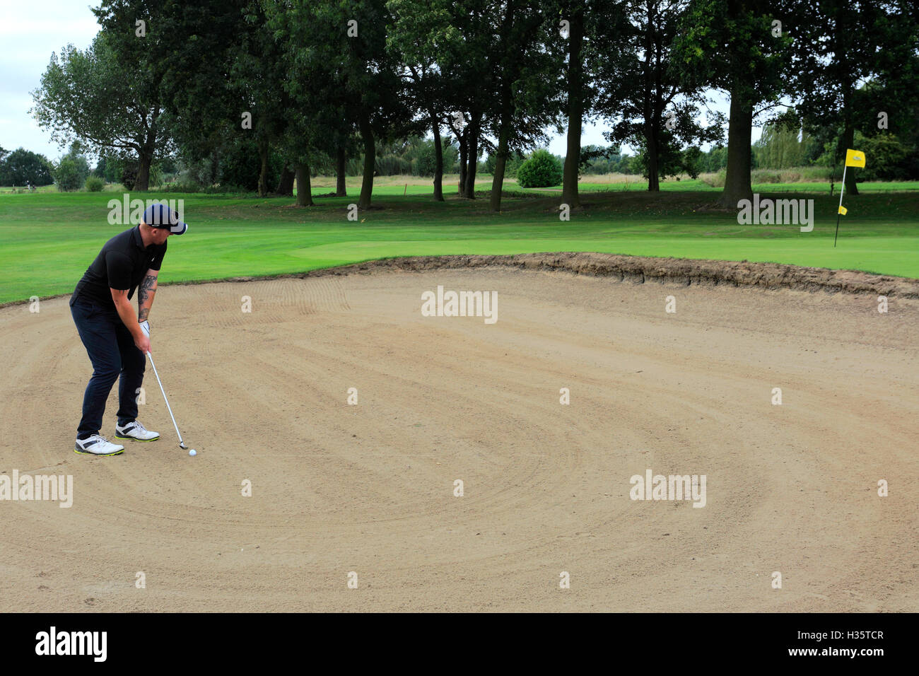 Adult male Golfer taking a bunker shot with the ball in the sand Stock Photo