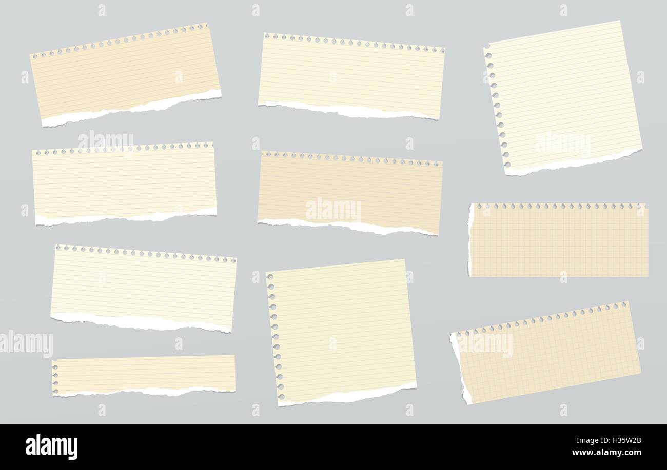 Pieces of light brown ruled torn note paper stuck on grey background Stock Vector