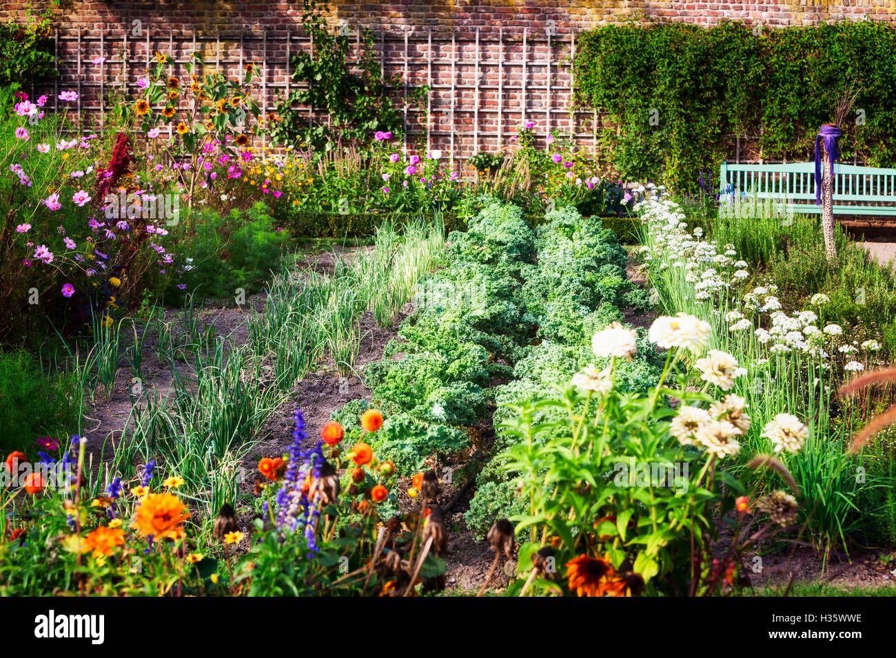 Vegetable garden in late summer. Herbs, flowers and vegetables in