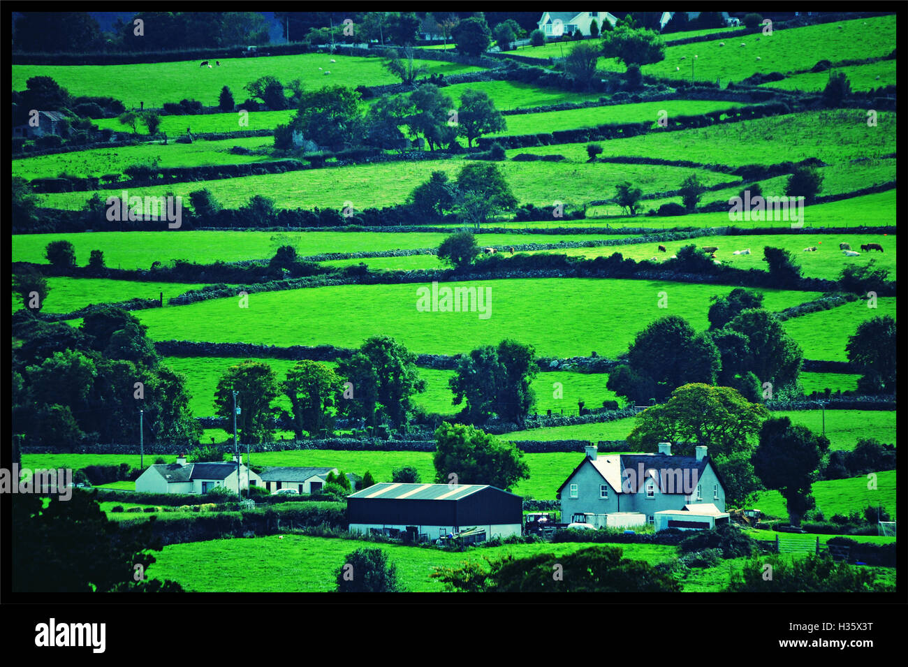 Castlewellan County, Northern Ireland, UK. Stock Photo