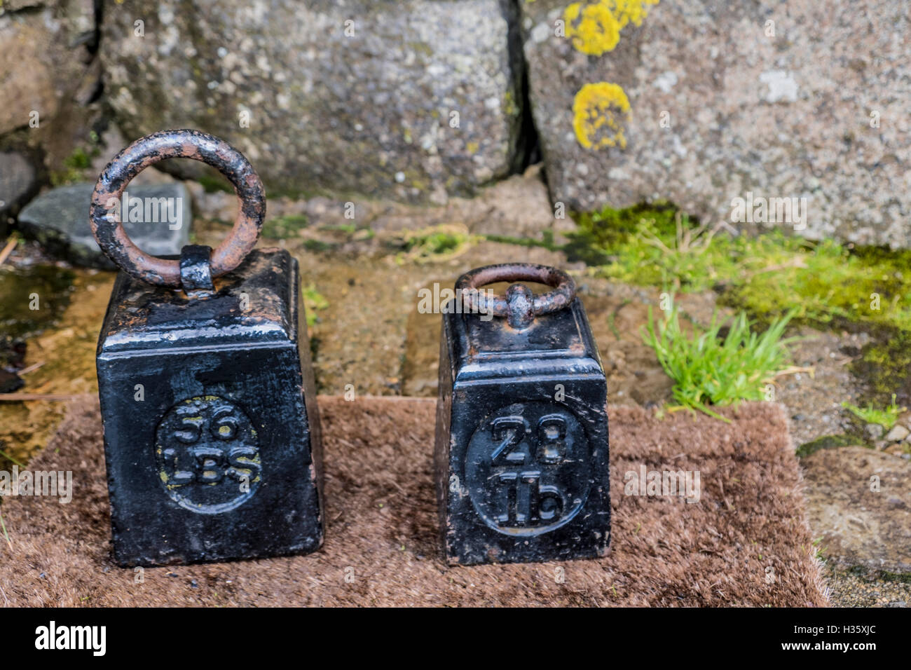 Pair of heavy black painted vintage weights inscribed with imperial measurements 56 LBS and 28lb against lichen covered stone Stock Photo