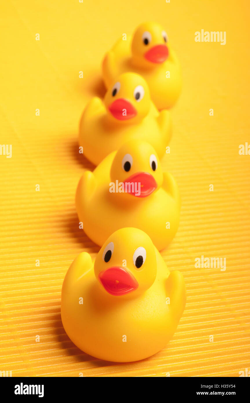 four yellow toy rubber ducks Stock Photo