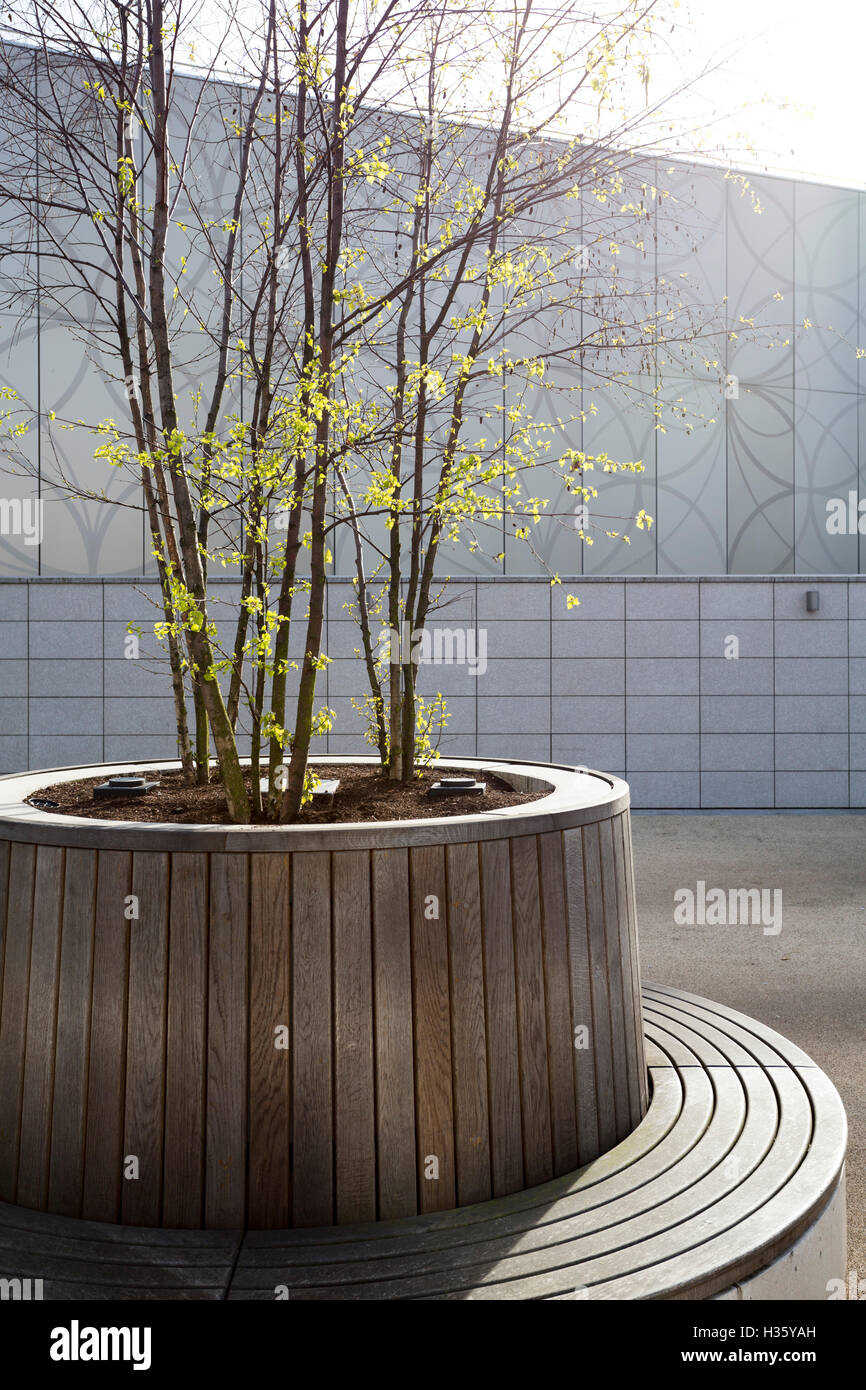 Formal Tree Planting Inside A Round Bench Seat Stock Photo Alamy