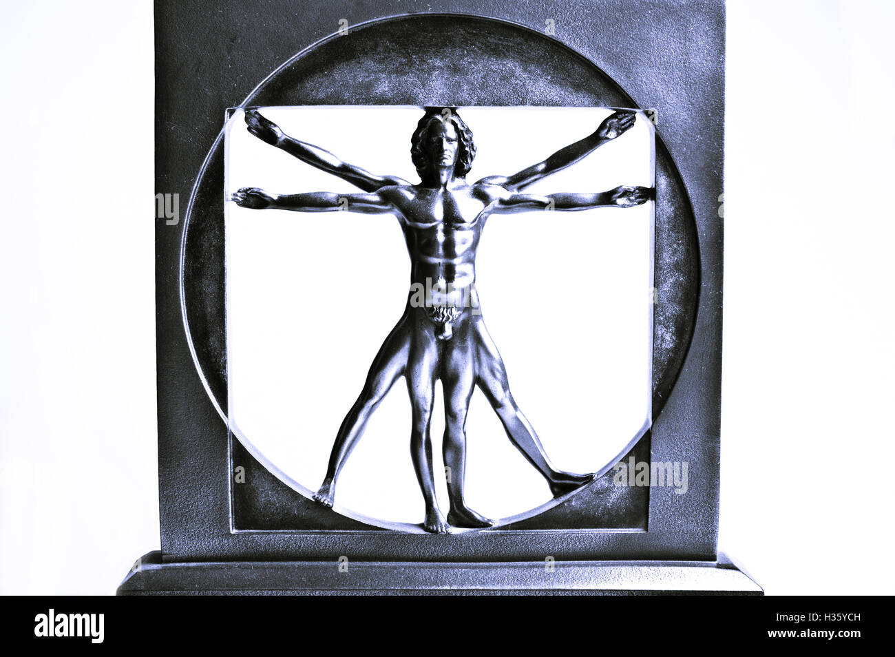 Vitruvian man sculpture Stock Photo - Alamy