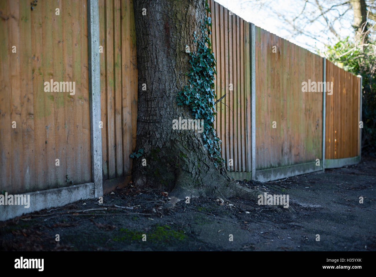 Housing estate in Basingstoke, Hampshire, UK with houses, trees and street furniture. Stock Photo