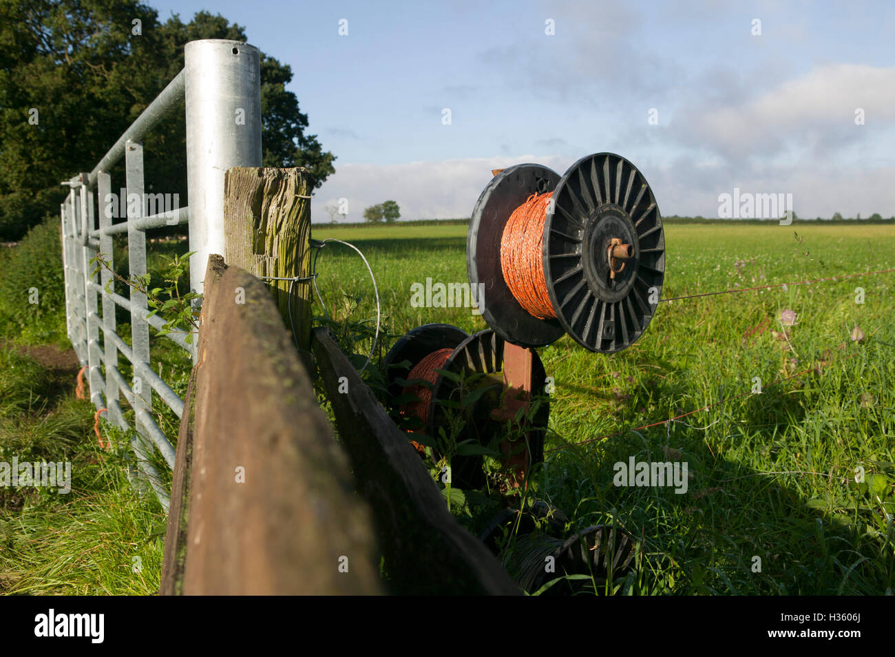 Rural landscape scene with livestock and fields Stock Photo - Alamy