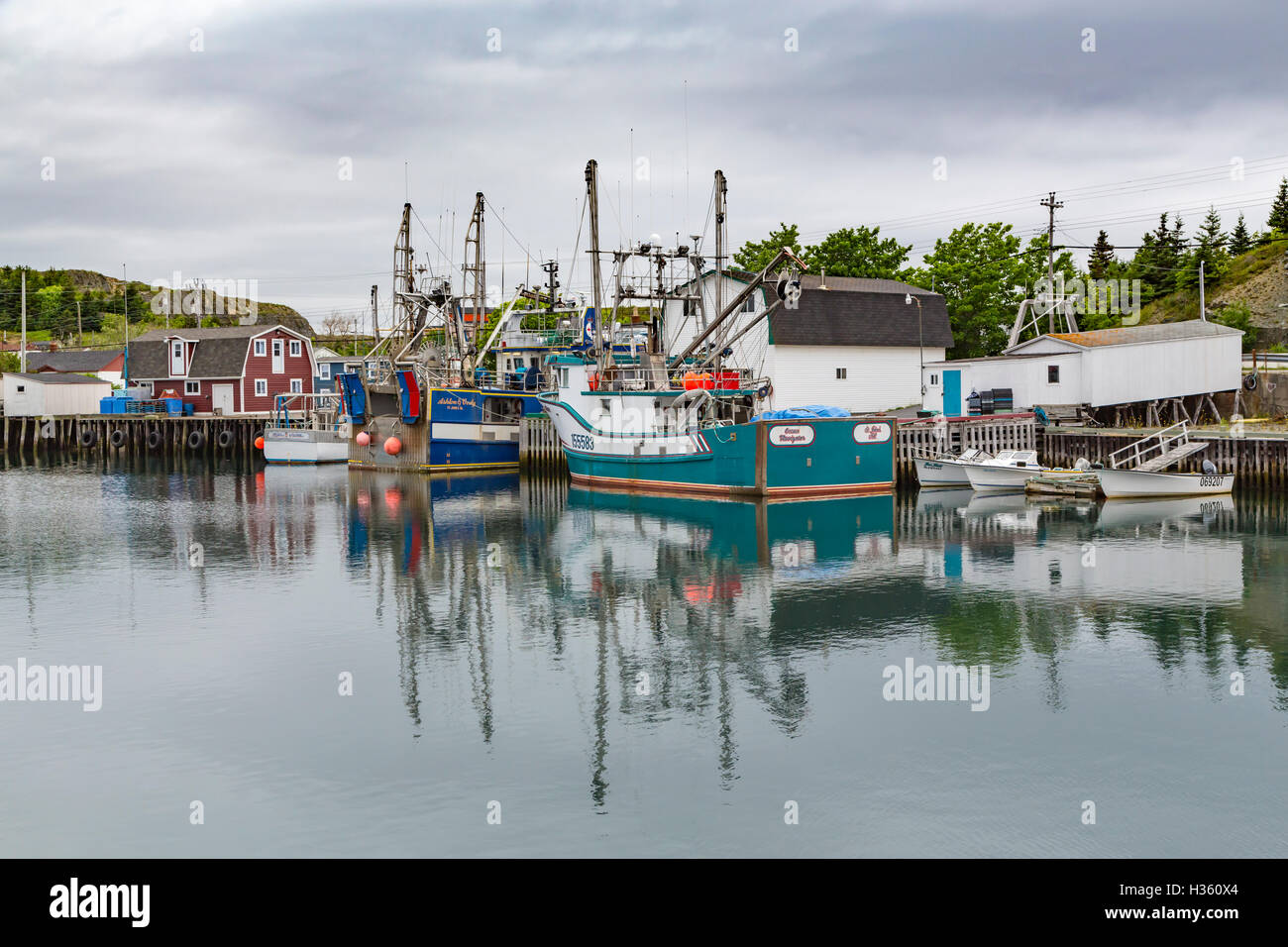 Fishing boats in the harbor at Port de Grave, Newfoundland and Labrador