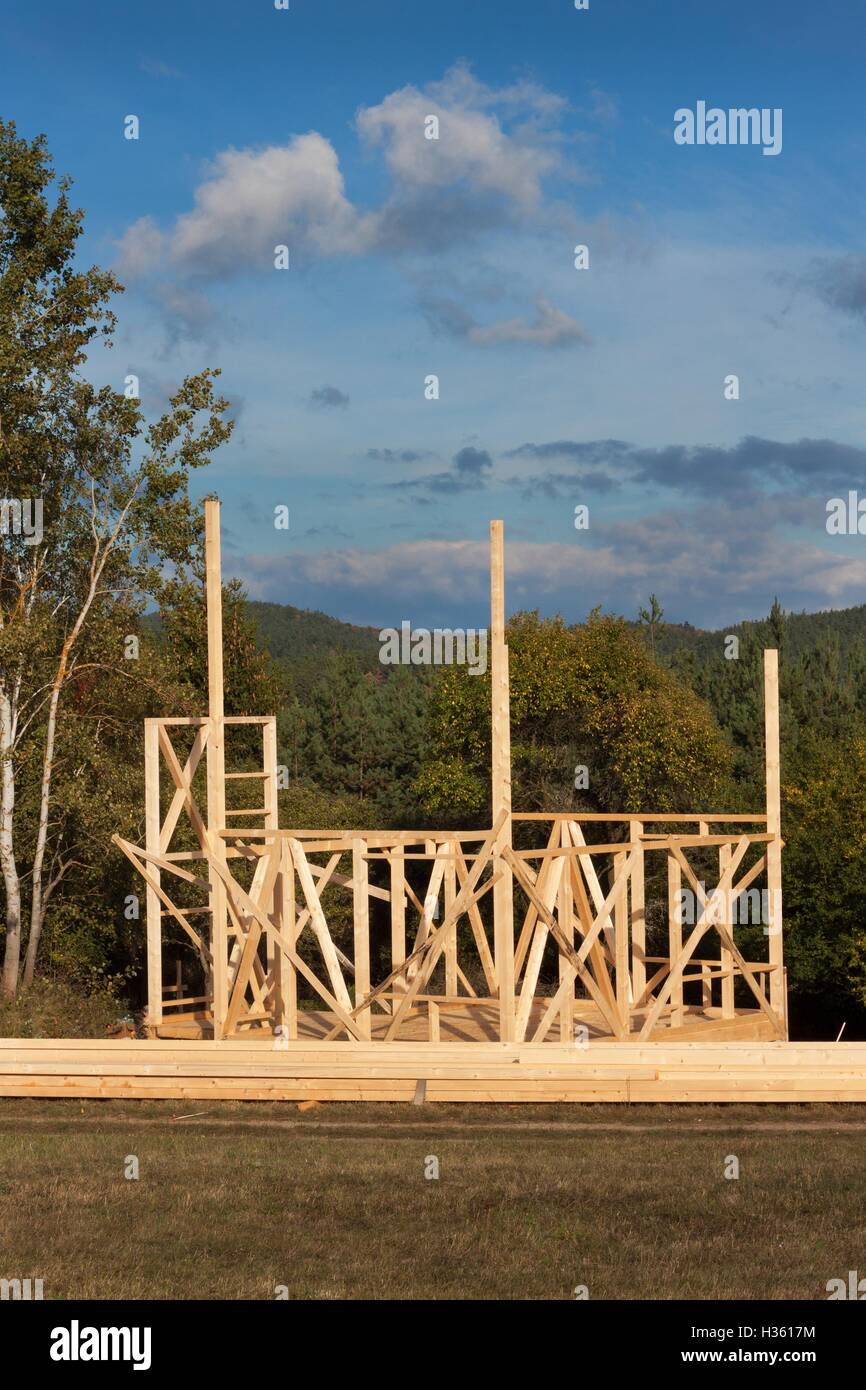 Construction of a wooden house in the woods. Construction of the house ...