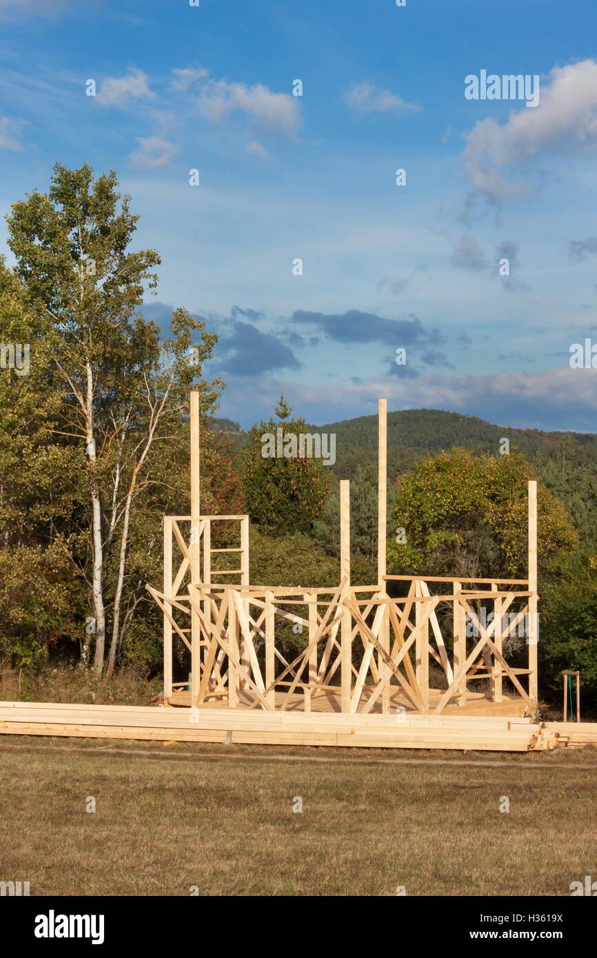 Construction of a wooden house in the woods. Construction of the house ...