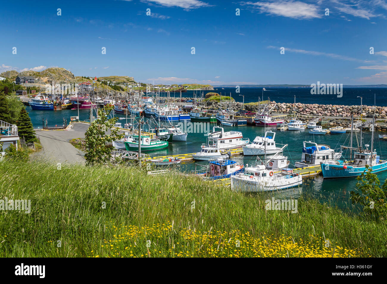 Port de grave newfoundland hires stock photography and images Alamy