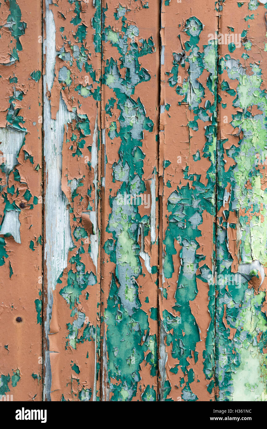 Old weathered wooden door with peeling green and brown paint Stock Photo