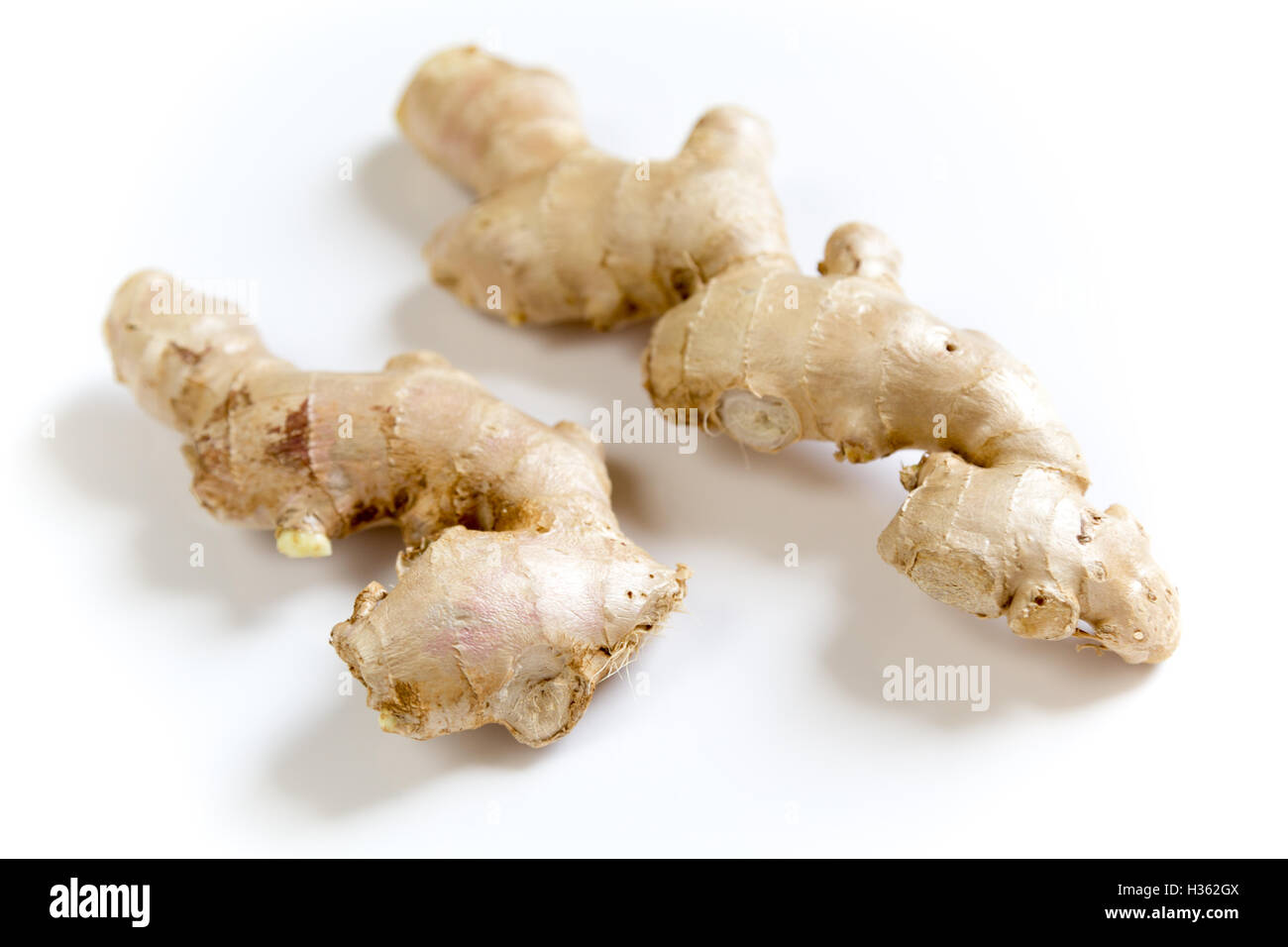 Fresh ginger rhizome against a white background Stock Photo