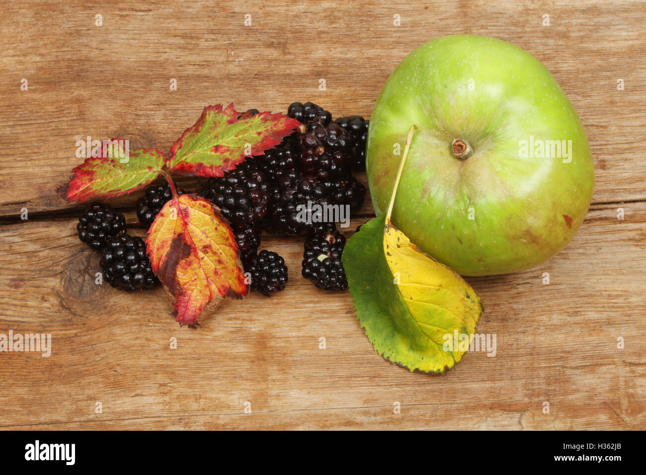 Blackberries and a cooking apple with Autumnal leaves on rustic wood Stock Photo