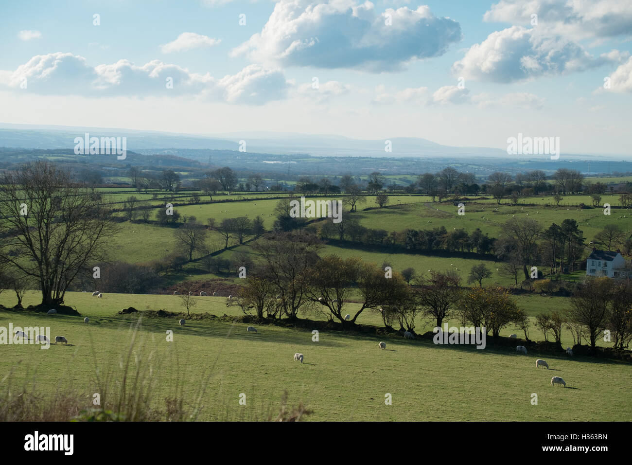 View of Loughor Estuary from hills north of Swansea Stock Photo